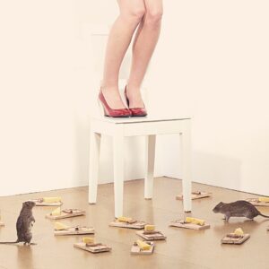 fobie angst muizen exposure therapie psycholoog maarkedal