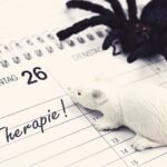 psycholoog therapie hulp therapeut maarkedal specifieke fobie angst