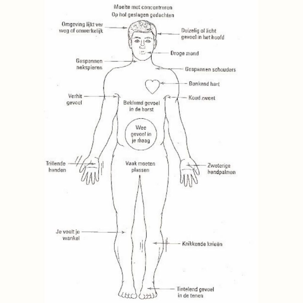 maarkedal schorisse psycholoog oudenaarde paniek