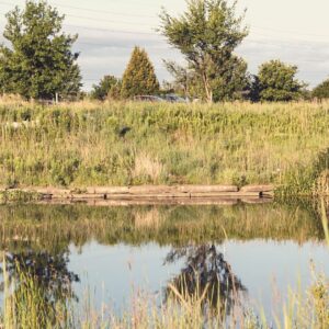 psycholoog therapeut hulp Maarkedal Oudenaarde