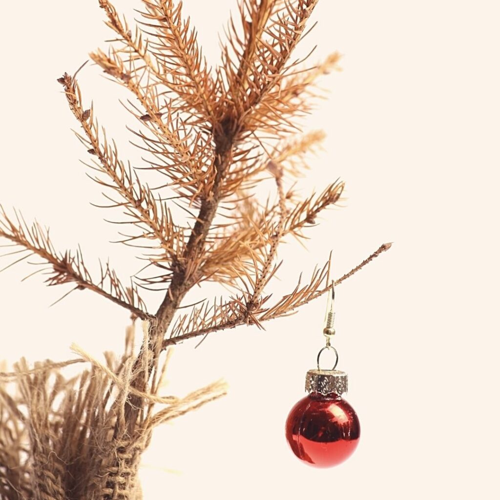 rouw psychotherapie steun psycholoog begeleiding ronse maarkedal oudenaarde brakel